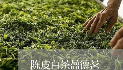 陈皮白茶盈德茗/2023061164037