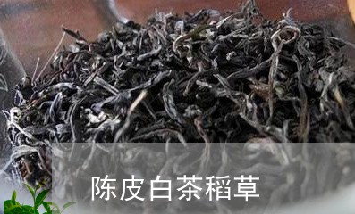 陈皮白茶稻草/2023052522514