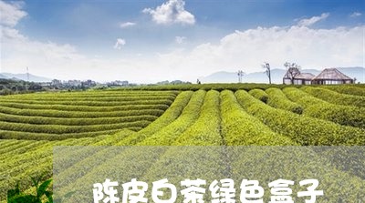 陈皮白茶绿色盒子/2023111602805