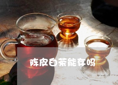 陈皮白茶能存吗/2023061119703