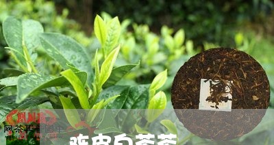 陈皮白茶茶/2023051132696