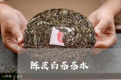 陈皮白茶茶水/2023052484828