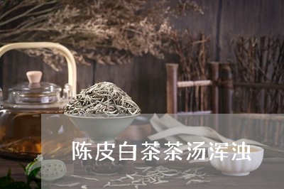 陈皮白茶茶汤浑浊/2023071276371