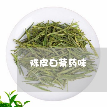 陈皮白茶药味/2023052419371