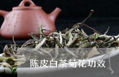 陈皮白茶菊花功效/2023071215949