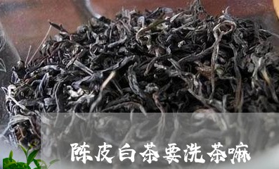 陈皮白茶要洗茶嘛/2023071260480