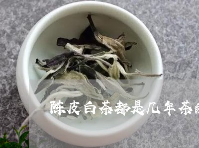 陈皮白茶都是几年茶的味道/2023111563626