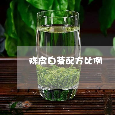 陈皮白茶配方比例/2023071291827