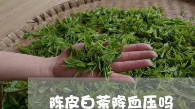 陈皮白茶降血压吗/2023071216161