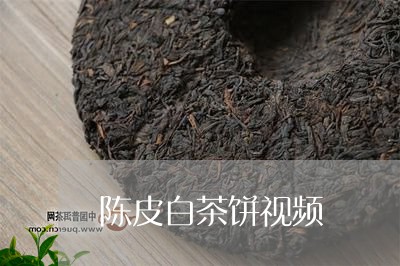 陈皮白茶饼视频/2023061141725