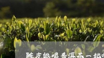 陈皮能喝普洱茶一起煮/2023061575968