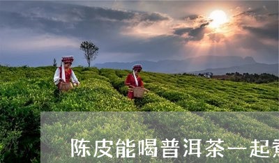 陈皮能喝普洱茶一起煮/2023072259260