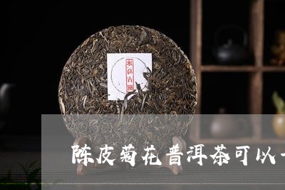 陈皮菊花普洱茶可以一起泡吗/2023052777260