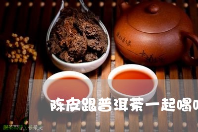 陈皮跟普洱茶一起喝吗/2023092692906