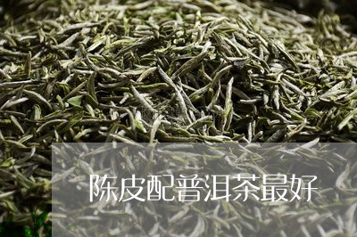 陈皮配普洱茶最好/2023120405969