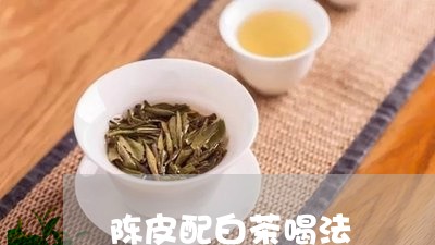 陈皮配白茶喝法/2023061107260