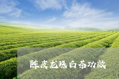 陈皮龙珠白茶功效/2023071284868