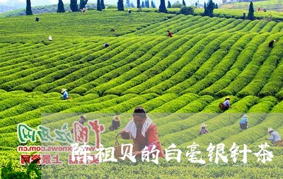 陈祖贝的白毫银针茶/2023091440584