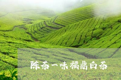 陈茶一味福鼎白茶/2023112684726