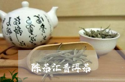 陈茶汇普洱茶/2023042659240