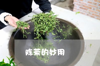 陈茶的妙用/2023090237694