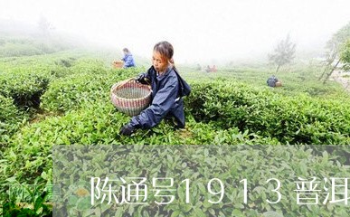 陈通号1913普洱茶/2023062519262