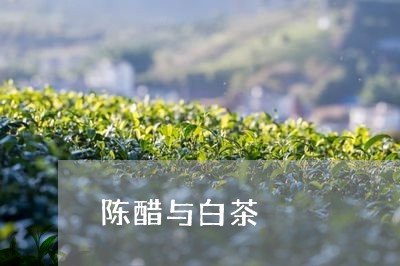 陈醋与白茶/2023051141926