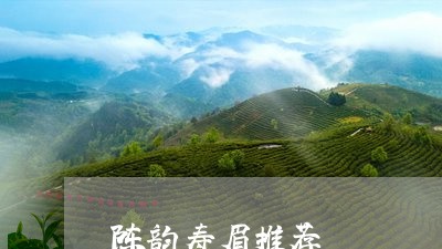 陈韵寿眉推荐/2023052532039