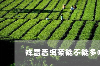 陈香普洱茶能不能多喝/2023061505159