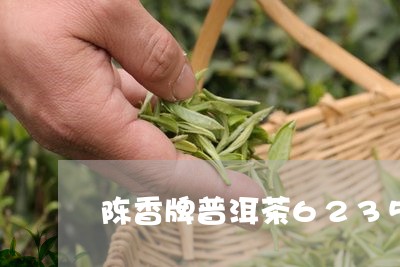 陈香牌普洱茶6235/2023100728261