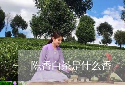 陈香白茶是什么香/2023071287271