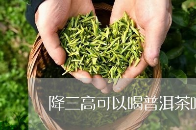 降三高可以喝普洱茶吗/2023061522716