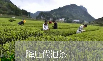 降压代泡茶/2023122016359