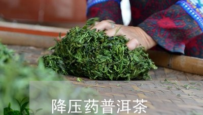 降压药普洱茶/2023042947925