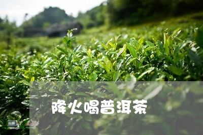 降火喝普洱茶/2023042621943