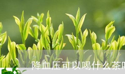 降血压可以喝什么茶叶/2023061000594