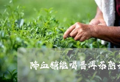 降血糖能喝普洱茶熟茶吗/2023112525059