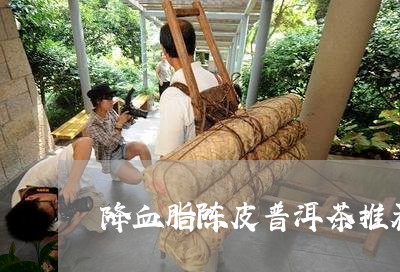 降血脂陈皮普洱茶推荐/2023120657149