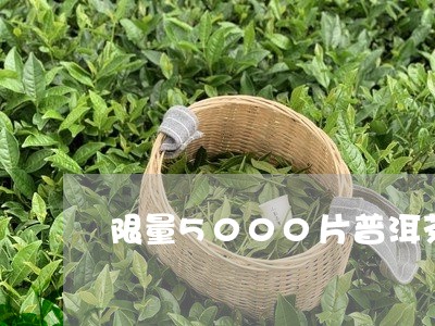 限量5000片普洱茶/2023080308383