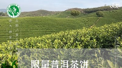 限量普洱茶饼/2023042703873