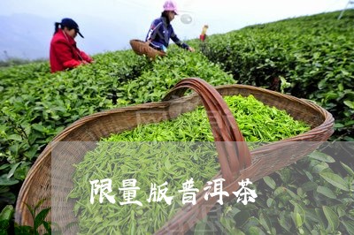 限量版普洱茶/2023042992426