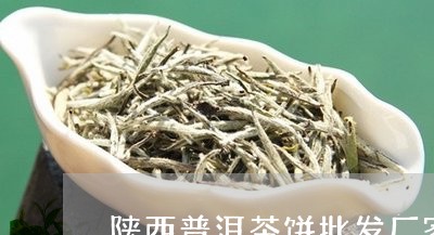 陕西普洱茶饼批发厂家/2023080371793