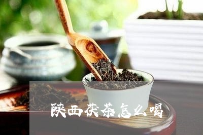 陕西茯茶怎么喝/2023042989274