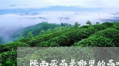 陕西茯茶是哪里的茶叶/2023061149580