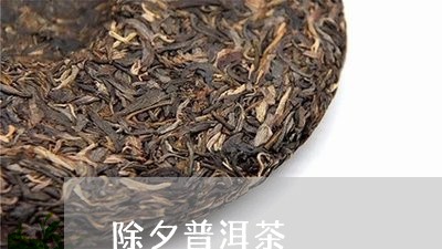 除夕普洱茶/2023102594152