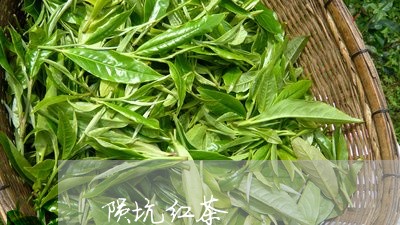 陨坑红茶/2023090188594