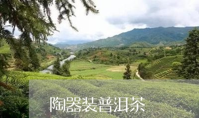 陶器装普洱茶/2023042891572