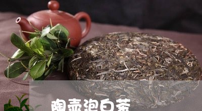 陶壶泡白茶/2023051185037