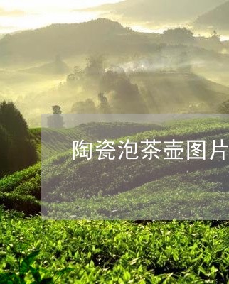 陶瓷泡茶壶图片大全/2023042215048