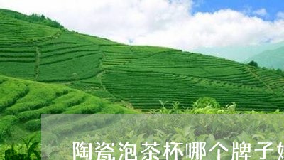 陶瓷泡茶杯哪个牌子好/2023092052716